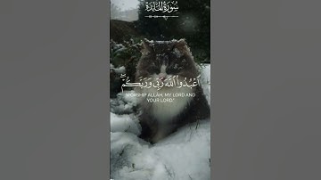 سورة المائدة الاية 17 القارئ الشيخ سعد الغامدي #القران_الكريم_كاملا #اكسبلور #القرأن