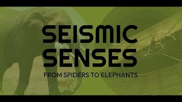 Biology Annual Lecture 2025: Seismic Senses