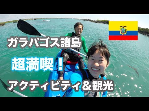 ガラパゴス諸島 イザベラ島のカヤックツアー シュノーケリング 観光を思いっきり楽しんでみた Youtube