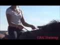 Exercise for Steady Reins
