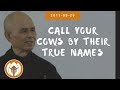 Call Your Cows By Their True Names | Dharma Talk by Thich Nhat Hanh, 2011.09.29 (Magnolia Grove)