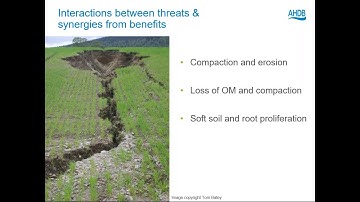 Webinar: Tillage, soils and crops