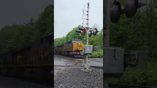Oh wow looky here CSX 1972 Family Lines System leading near Oneida NY!