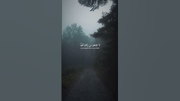 اكتب شيء تؤجر عليه 🖤 #قران #ياسر_الدوسري #سورة_الزمر #راحة_نفسية #اجر_لي_ولك #ذكر_الله