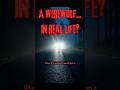 The Beast Of Bray Road...Real or Fake?🐺 #shorts #cryptids #folklore