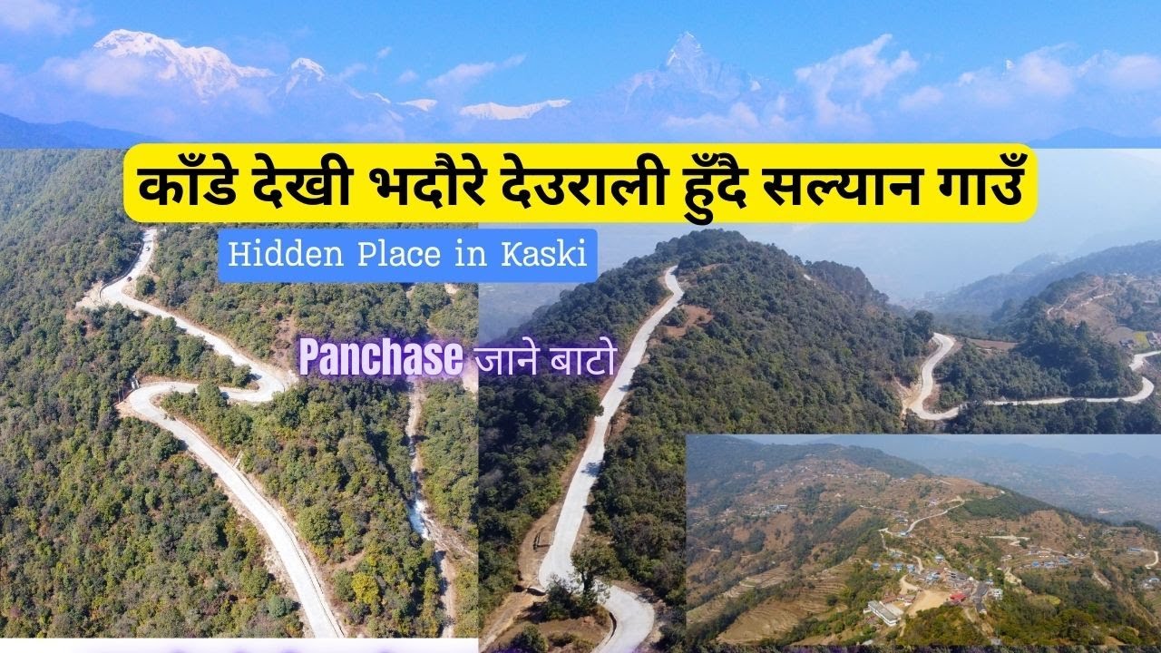 काँडे देखी भदौरे देउराली हुँदै सल्यान | Kande dekhi Bhadaure Deurali and Salyan | Way to Panchase