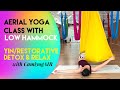 45 min YIN/Restorative Aerial Yoga Class 2 with Low Hammock - Detox & Relax | Beginner | CamiyogAIR