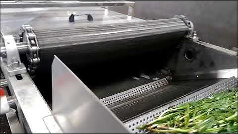 Leek washing machine