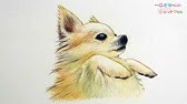 動物の描き方 柴犬のリアルなイラストが誰でも簡単に上手くなる方法 Howtodrawshibainu Youtube