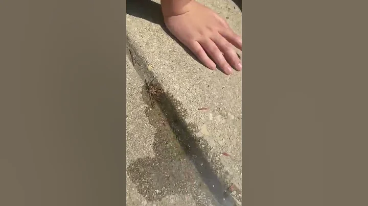 Erosion Investigation #2