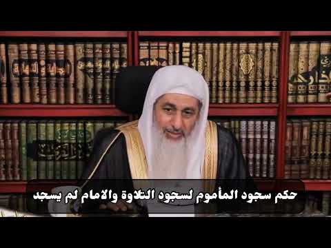 حكم سجود المأموم لسجود التلاوة والامام لم يسجد