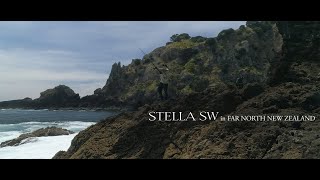 SHIMANO STELLA SW 2019 | INFINITE POWER