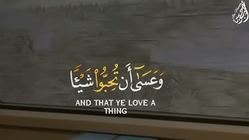 وَعَسَىٰ أَن تَكْرَهُوا شَيئًا وَهُوَ خيْرٌ لَّكُمْ ۖ - (آيات من سورة البقرة) - القارئ مشاري العفاسي