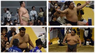 May 2024 Sumo: Why so many injuries?