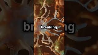 Your Brain is Constantly Eating Itself! Here's Why #facts #content #motivation #brain