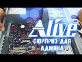 &quot;Сюрприз&quot; для Админа - Alive #59