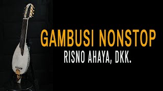 Gambusi Gorontalo Nonstop (HQ) #gambusindonesia #gambus #gorontalo #traditional #risnoahaya