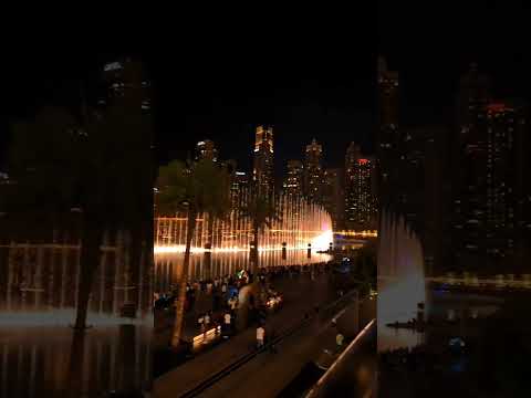 Dubai Night View – Dubai tour