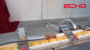 ECHO machinery Horizontal Flow Wrapping bread Packing Machine 660