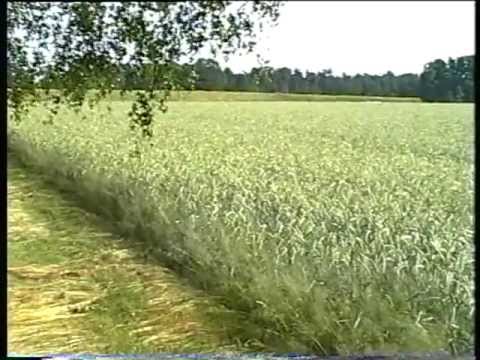 Bilderbuch Deutschland Bilderbuch Deutschland