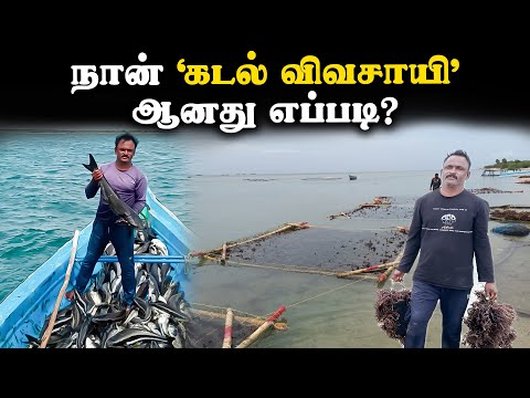 ocean-farming-and-seaweed-aquaculture-in-tamil-nadu