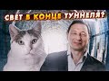 Свет в конце туннеля. Победит ли "партия мира"? (Борис Кагарлицкий и Кот Степан)