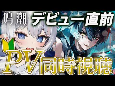 【鳴潮】キャラクターPVの確認ポイントとプレイ開始までの手順