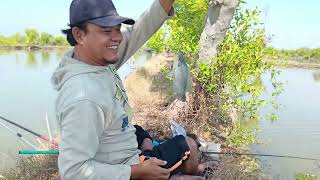 Download Lagu KEMBALI DI SPOT MINGGU KEMARIN GACOR lUUURRRRR......!!!👍👍 MP3 Download Lagu KEMBALI DI SPOT MINGGU KEMARIN GACOR lUUURRRRR......!!!👍👍 MP3