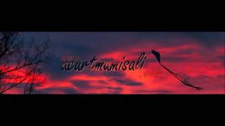 Hakan Bayrak - Kalem Darbelerim