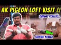  roller pigeon farm in tamilnadu   quality  price  