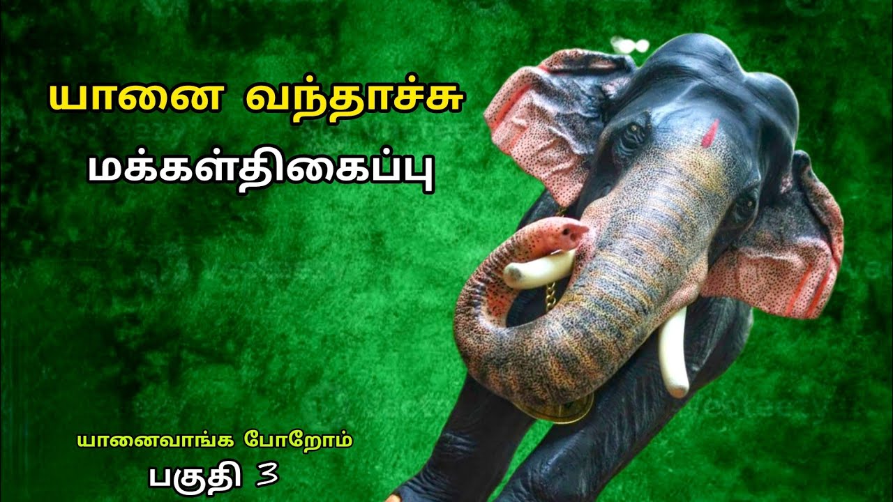 யானை வந்தாச்சு .மக்கள் திகைப்பு