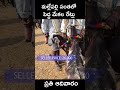 Latest Goat market prices in Mallepalli | Johny Deshagoni Marekt videos #shortvideo #goatprice