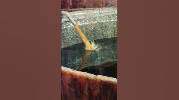 Ghé Thăm Nhà Thùng Nước Mắm Truyền Thống Tại Phan Thiết | Nước mắm Tĩn - nước mắm Phan Thiết ngon