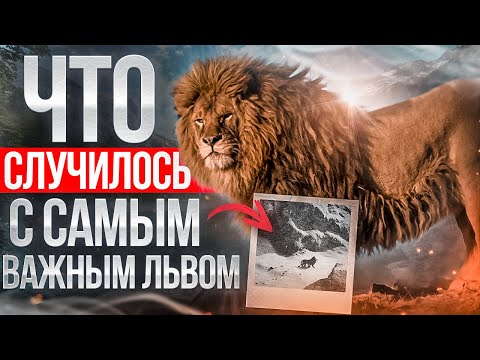 Как исчез последний берберийский лев