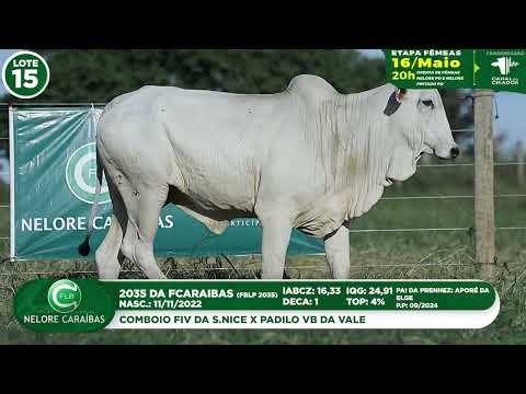 LOTE 15   FBLP 2035