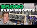 How profitable is my 5000 crypto mining farm in 2024