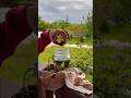 Обычная жизнь за городом, где всё продумано заранее