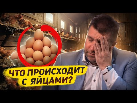 Видео: Что нам делать с нашими яйцами? / Дмитрий Потапенко