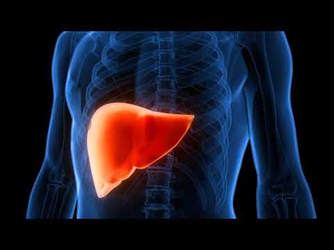 Дослідження показує, що сполуки канабісу можуть скасувати жирову хворобу печінки