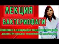 Бактериофаги