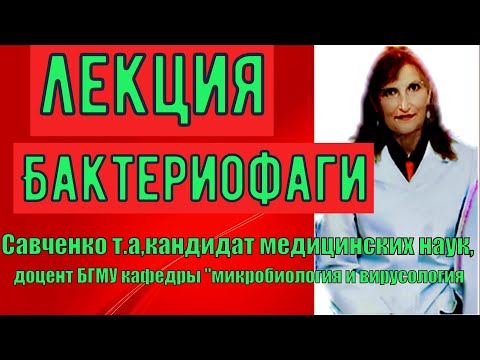 Видео: Разлика между вирулентен и умерен фаг