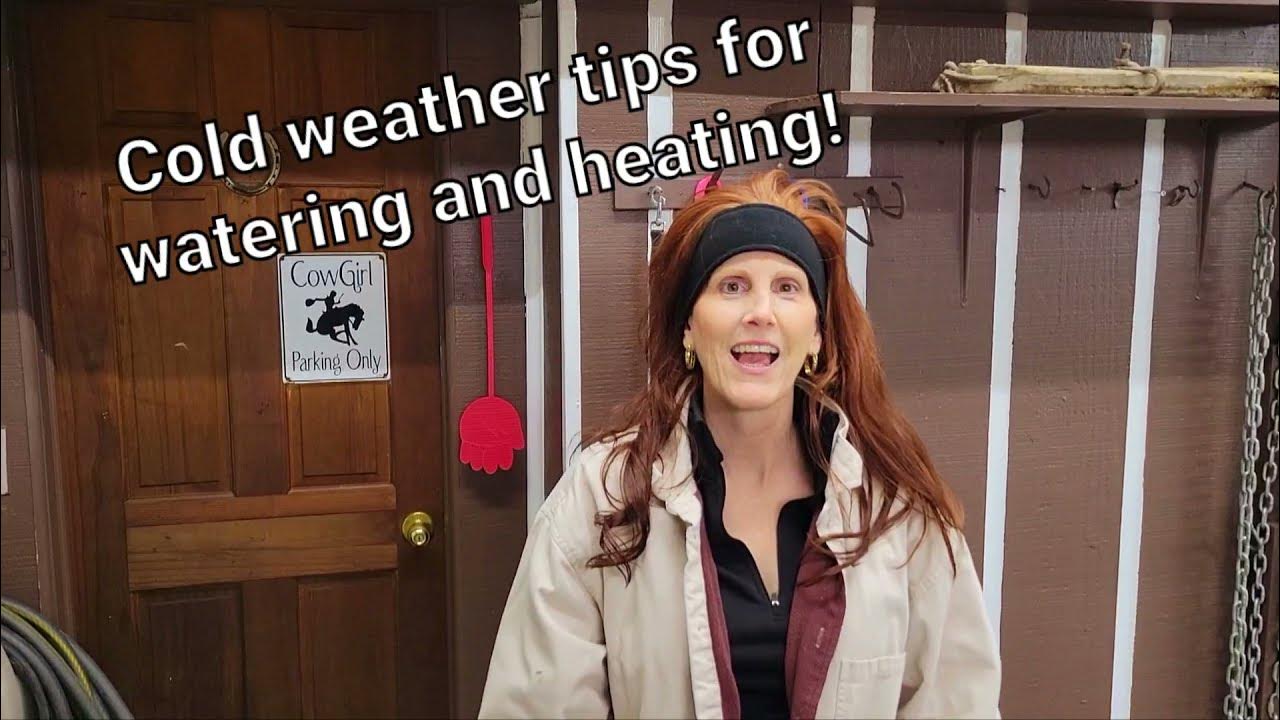 How to keep water from freezing and keep your horses warm. YouTube