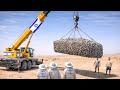 Israel Froze 10 Million Bees and Changed the Desert And The Result Make Entire World Curious.