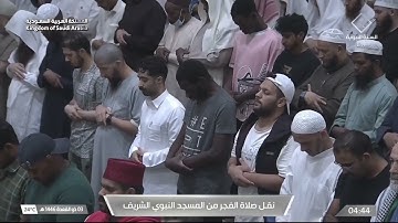 صلاة الفجر للشيخ محمد برهجي 3 ذو القعدة 1446هـ سورة القلم كاملة
