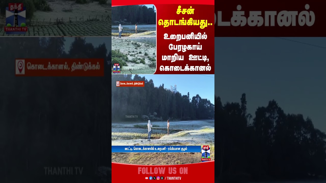 ooty | kodaikanal | winter | nature | tourism | tour | tourist | touristplace | thanthitv