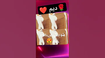 ديم ديم ديم Comedy Funny Cat بنات ترند Shortvideo 