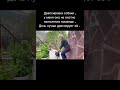 цветочная фея творит чудеса!!!