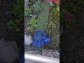 Stealth Mode. Solar Panel holder for outdoor Garden fountain. #summer #gardentips #hidden #diycrafts