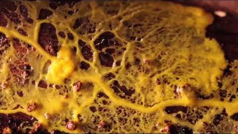 Hard Systems and Emergence