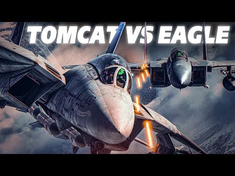 Pushing The Tomcat To The Limit | F-14B Tomcat Vs F-15C Eagle | DOGFIGHT | Digital Combat Simulator